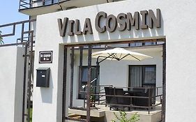 Vila Cosmin Costinesti